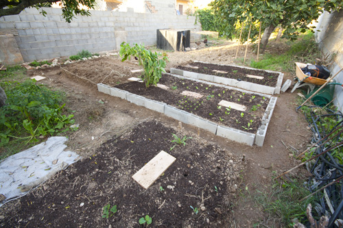 21-10-10-02copia.jpg