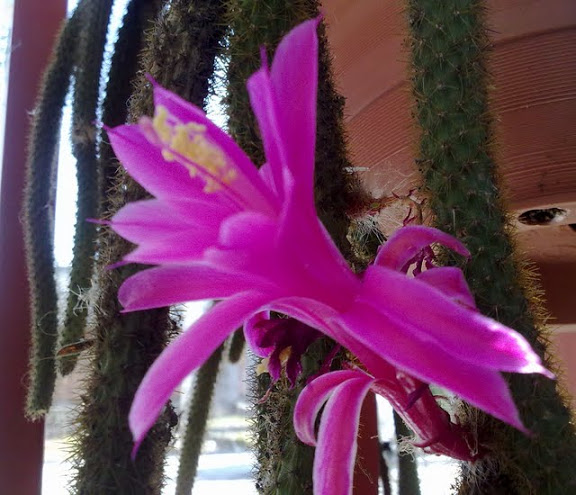 21012012478.jpg