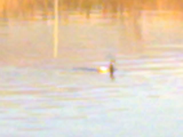 210220111217.jpg