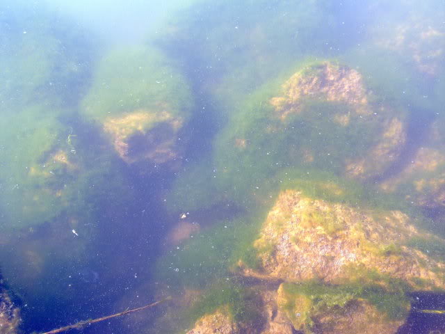 210220111222.jpg