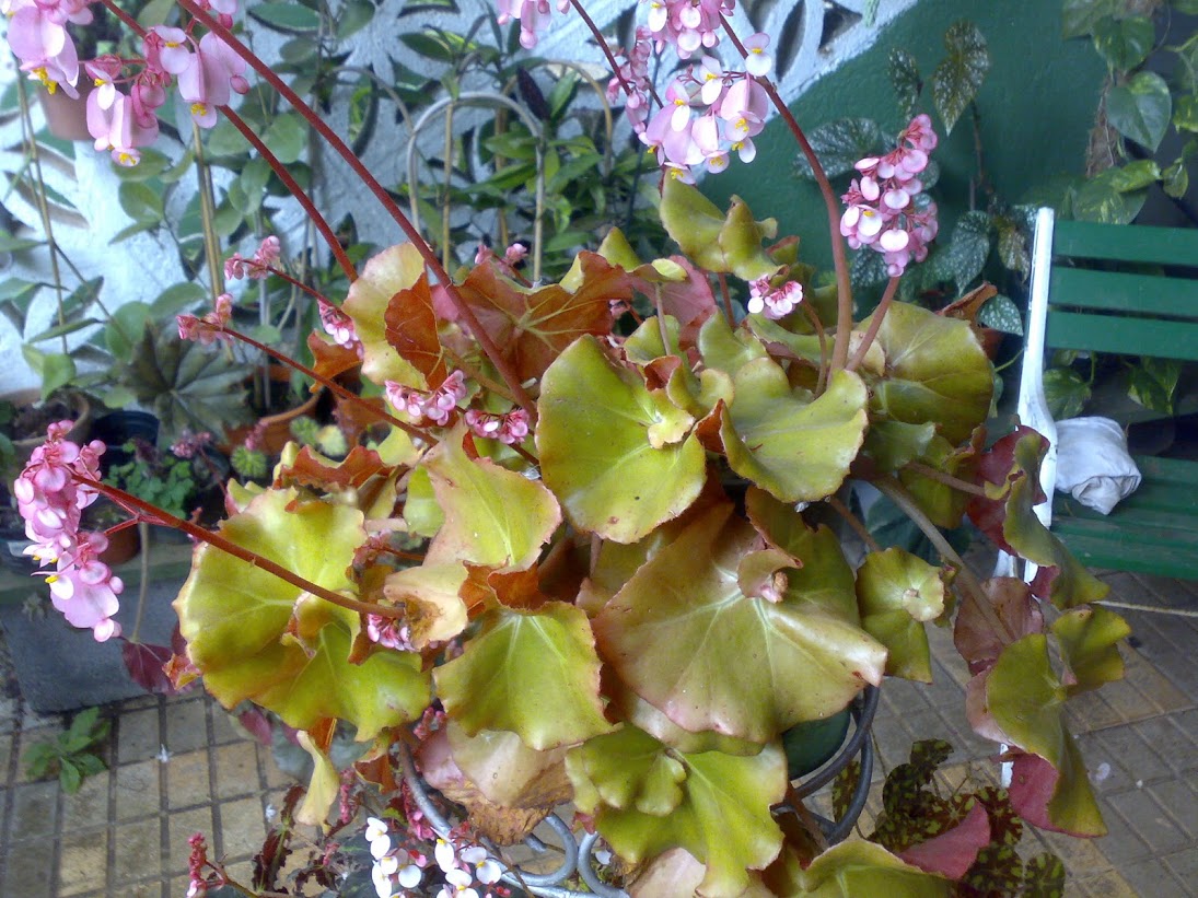 2103201316361.jpg