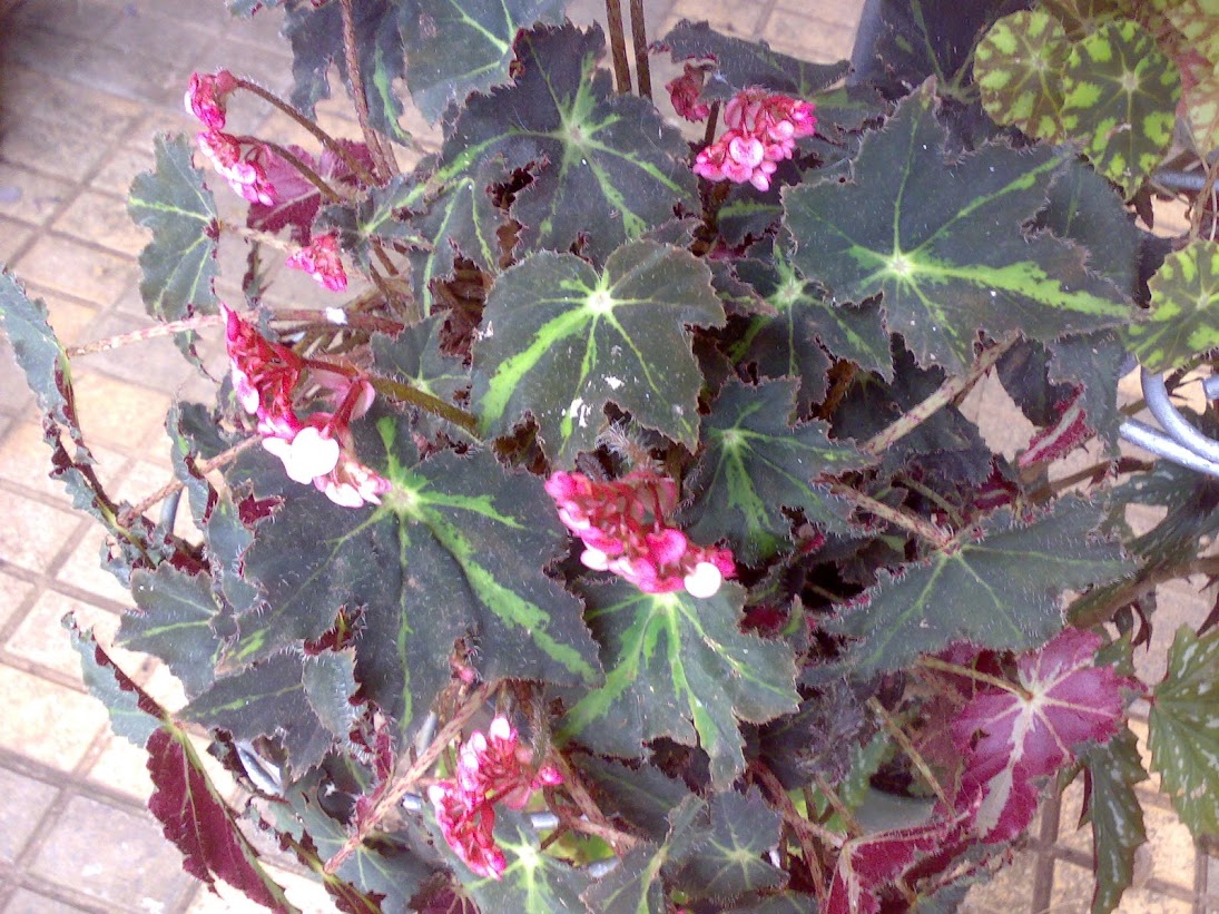 2103201316362.jpg