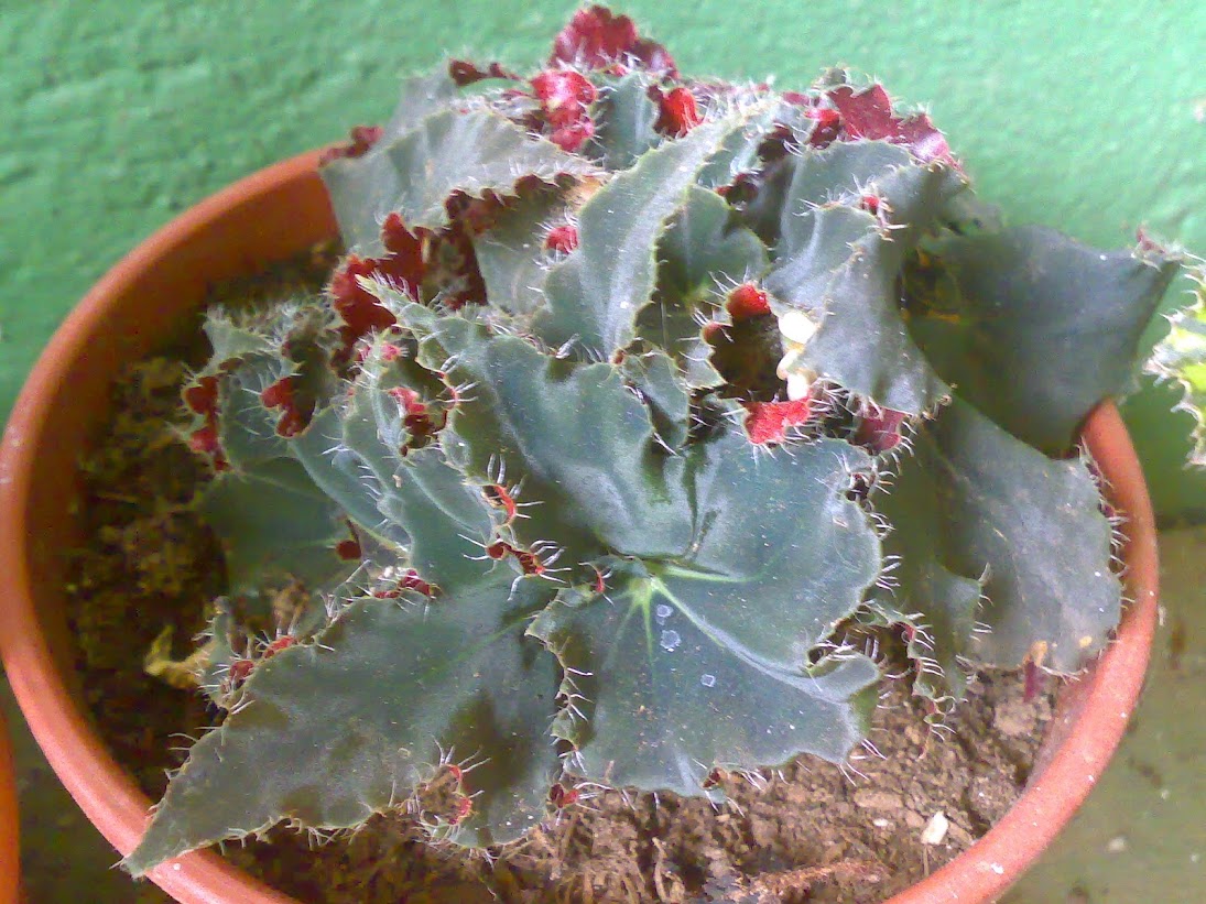 2103201316367.jpg