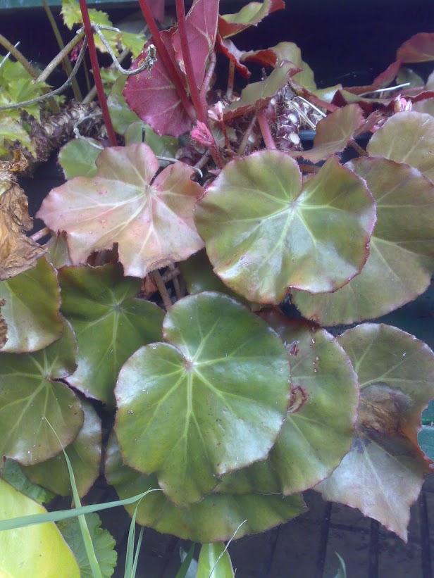2103201316369.jpg