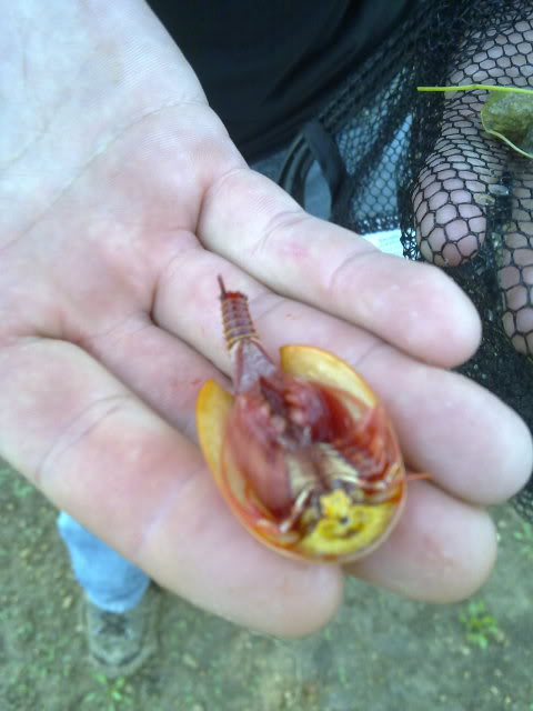 21042010116.jpg