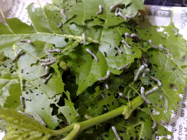 210420111616.jpg