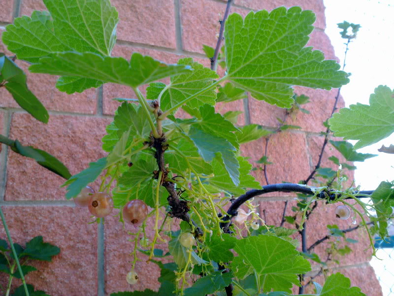 210620111366.jpg