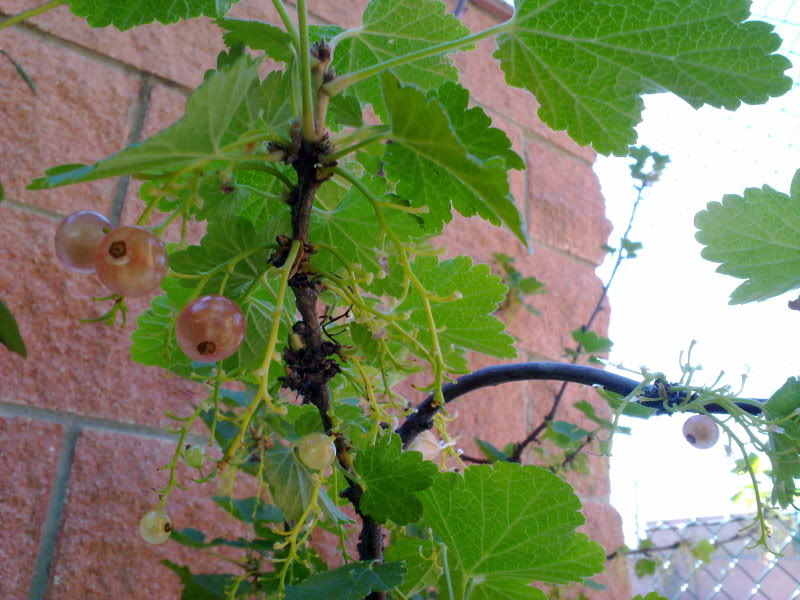 210620111367.jpg