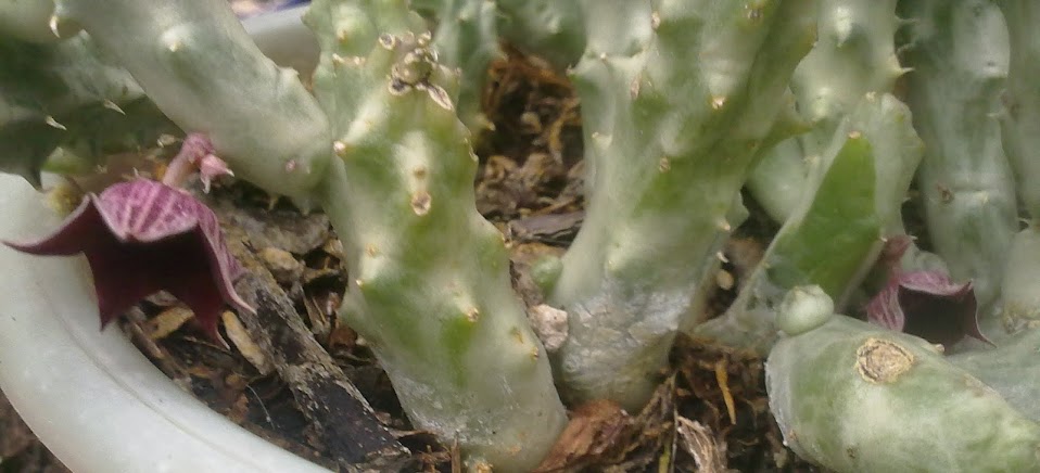210620131752.jpg