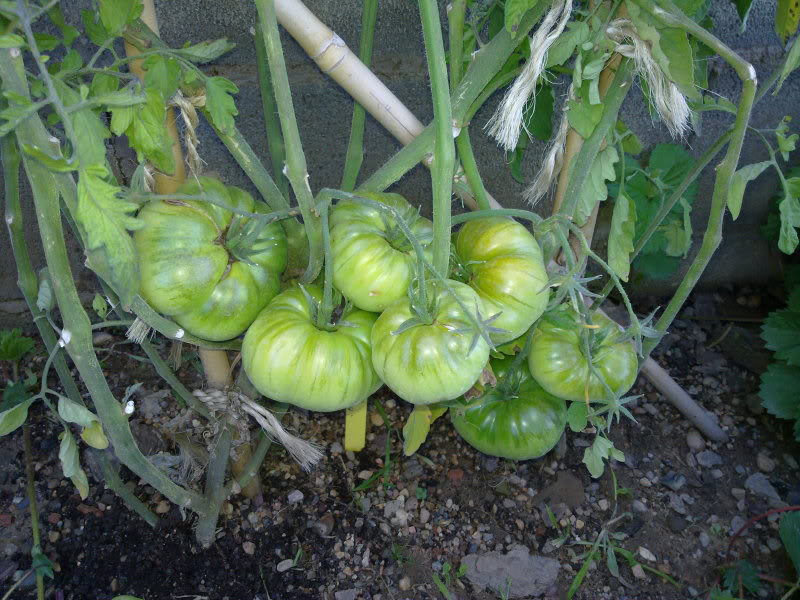 210720111520.jpg