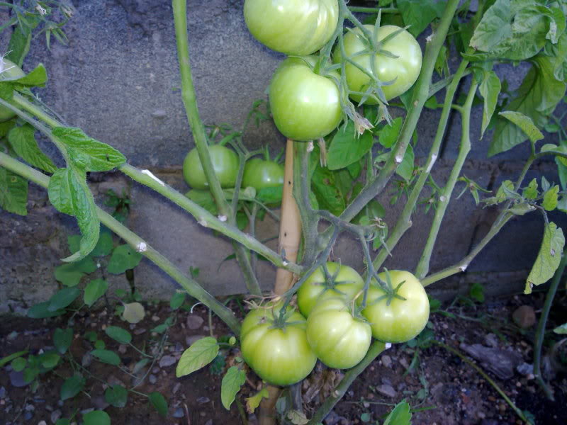 210720111521.jpg