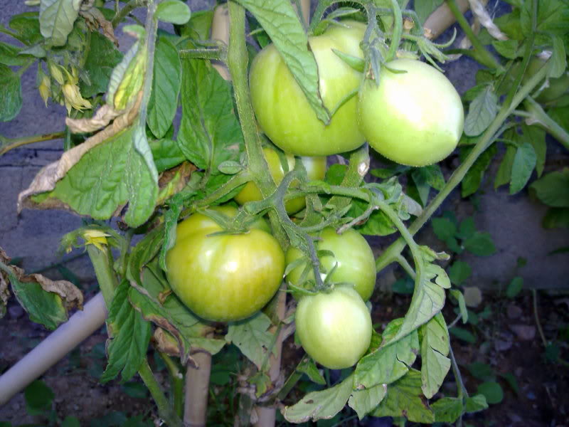 210720111522.jpg