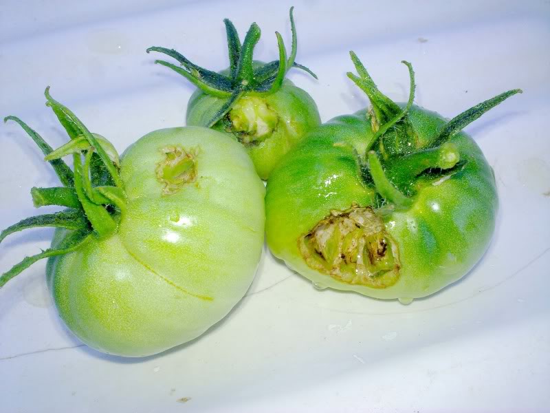 210720111524.jpg
