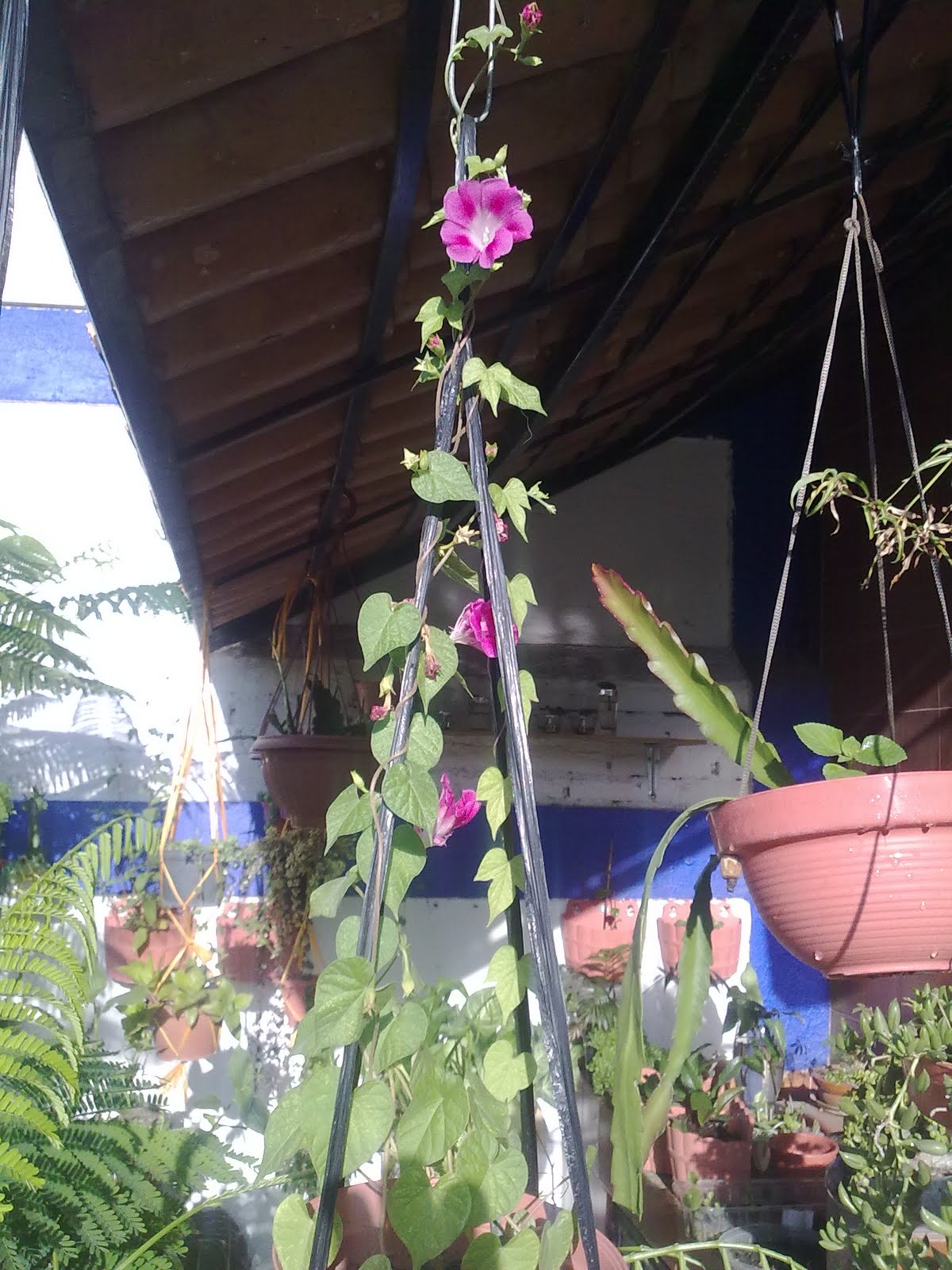 210820102881.jpg