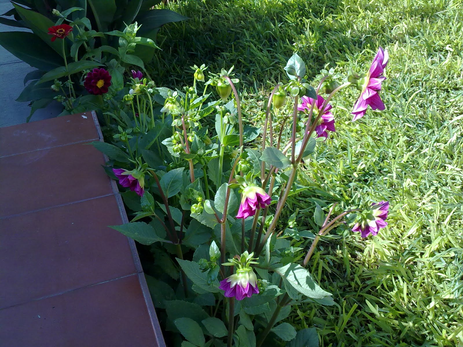 210820102885.jpg