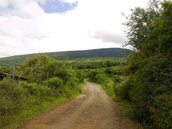 210820122642.jpg
