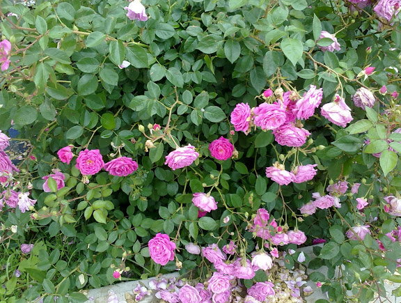 210820122649.jpg