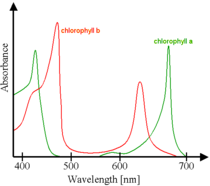 210px-Chlorophyll_ab_spectra.png