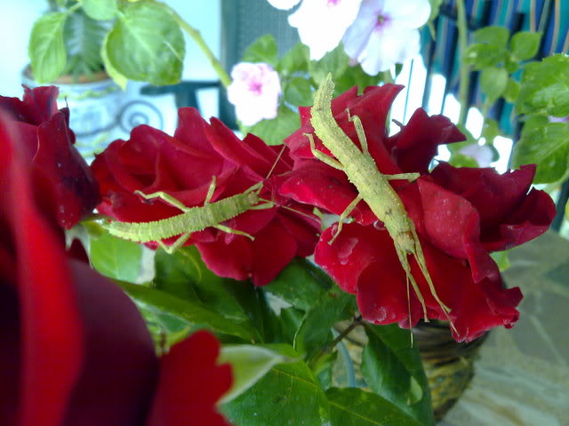 21102010685.jpg