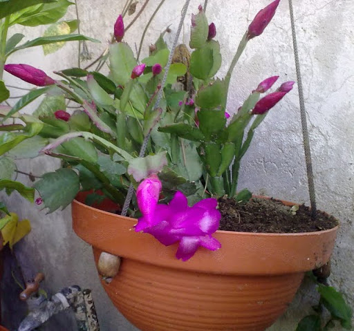 211020114615.jpg