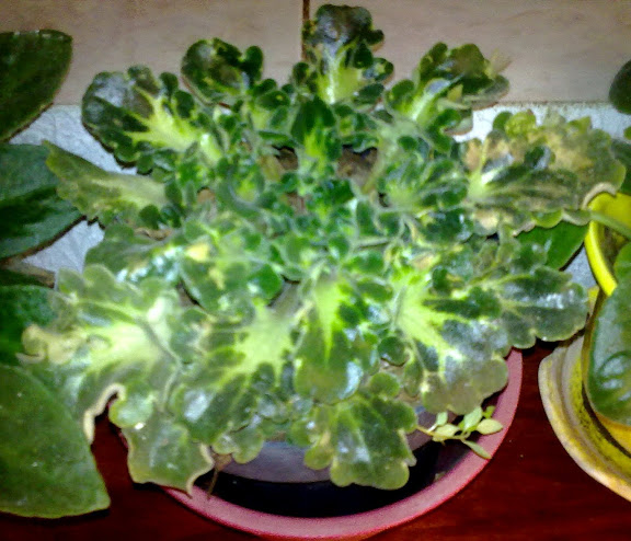 211020123504.jpg