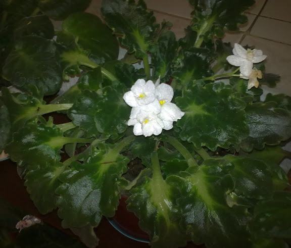 211020123506.jpg