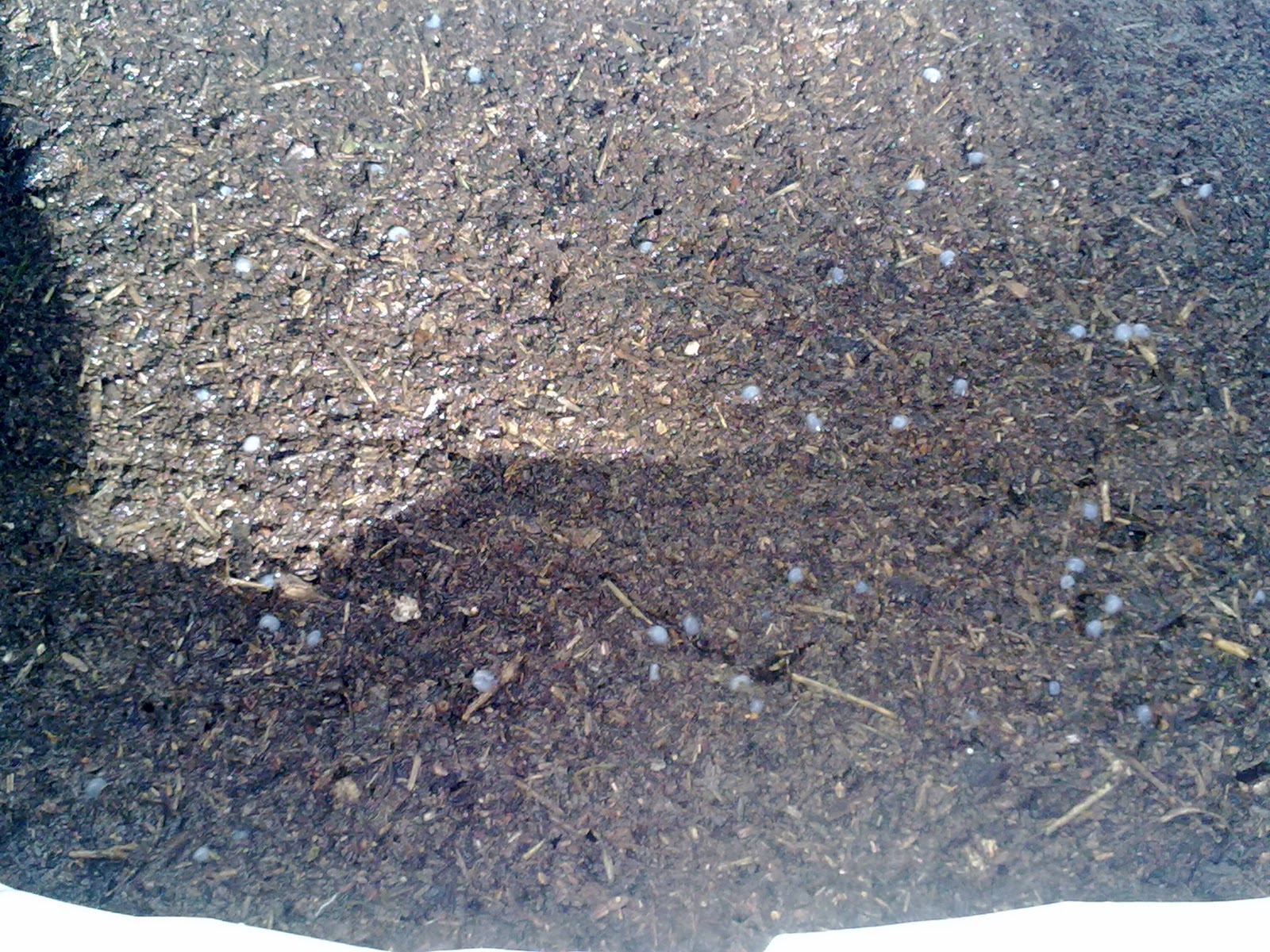 211220105469.jpg