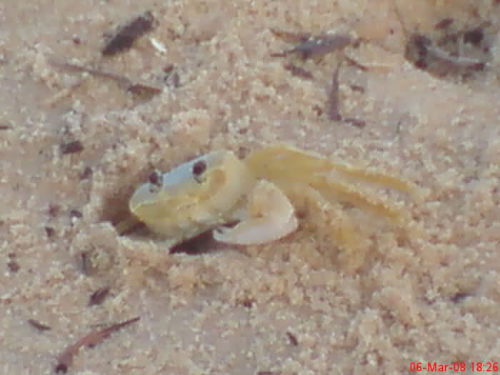 212u9n7.jpg