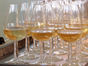 213-chardonay.jpg