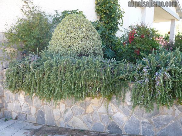 21378d1301675377t-remodelacion-de-jardin-bajo-pinos-p1060689.jpg