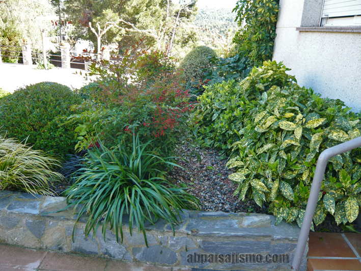 21385d1301675794-remodelacion-de-jardin-bajo-pinos-p1060686.jpg