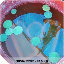 21443639422a16a696ef7a41fc7b0390o.jpg