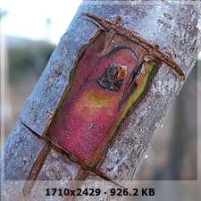 2144ae7dc05505ebaef755d30ce25950o.jpg