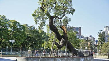 2153463w380.jpg