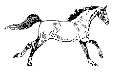 2186_animado.gif