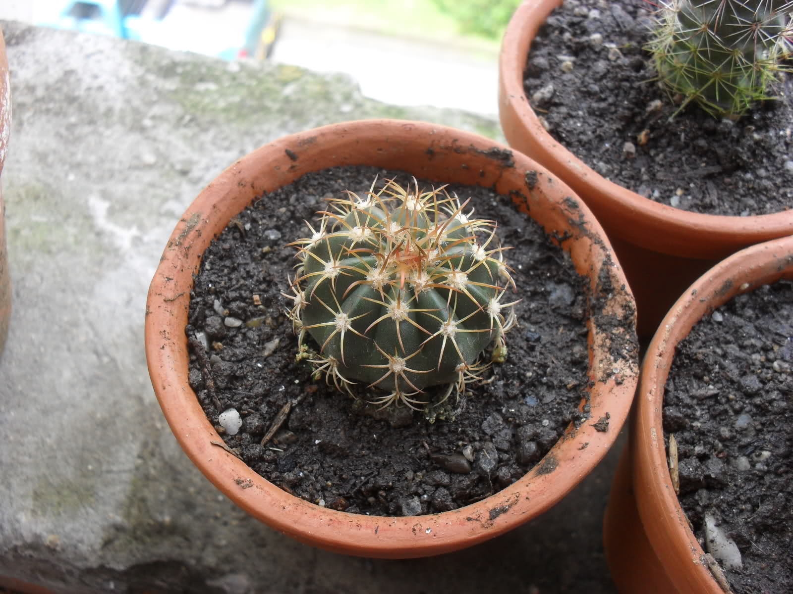21dft6f.jpg