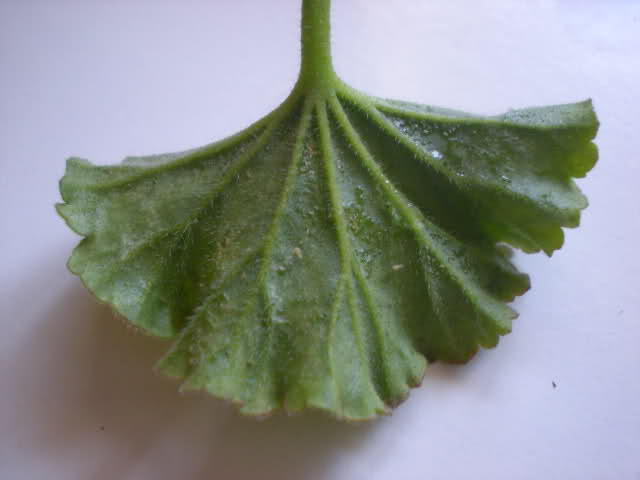 21kxpg7.jpg
