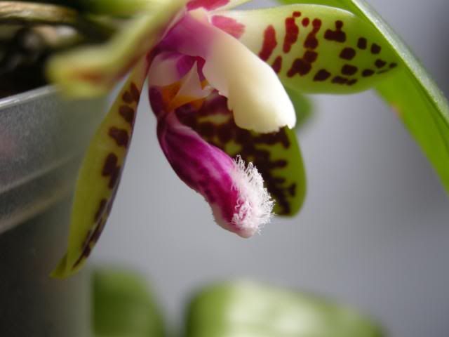 22-05-2014220_zps38a4796a.jpg