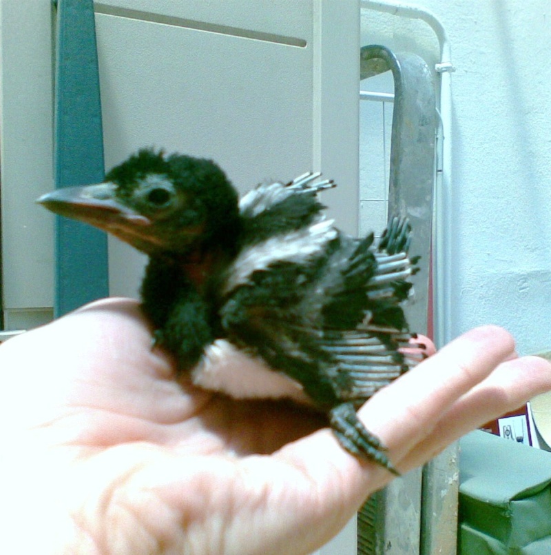 22012010.jpg