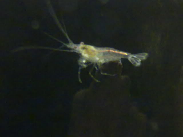 220120111027.jpg