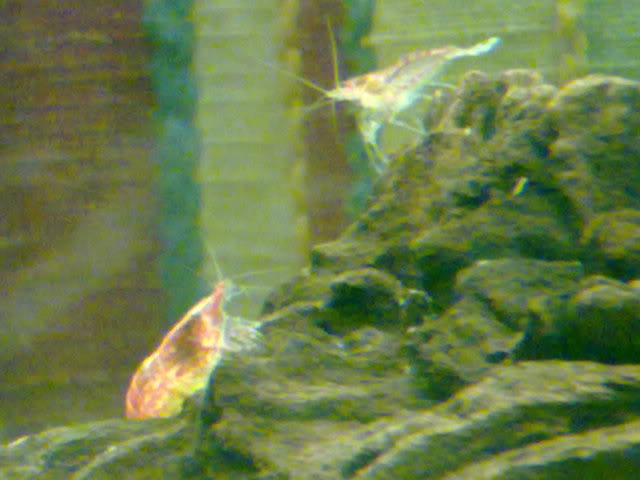 220120111028.jpg