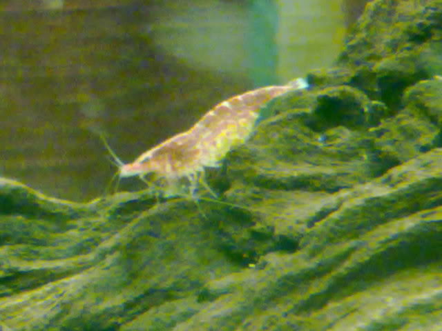 220120111031.jpg