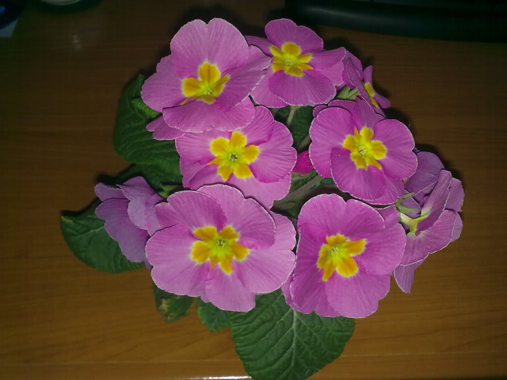 22012011163.jpg