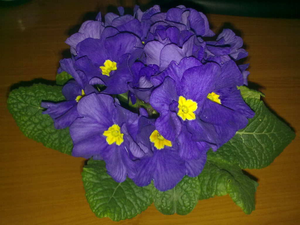 22012011164.jpg