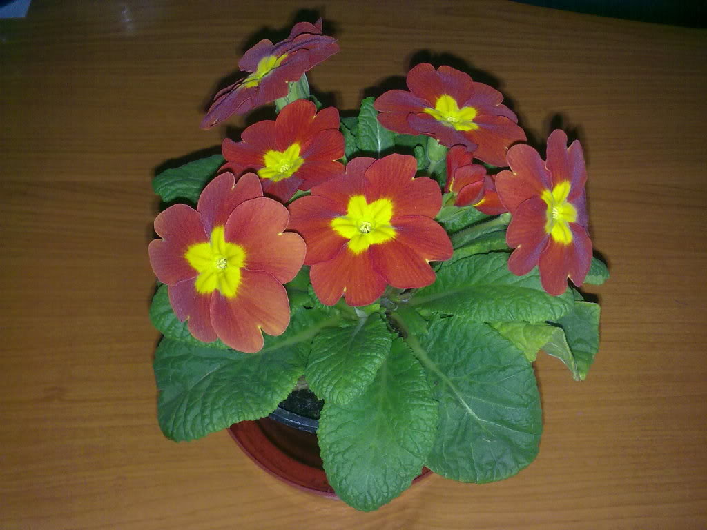 22012011165.jpg