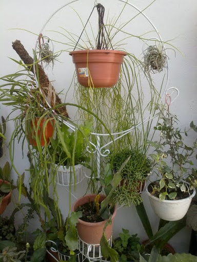 22012012515.jpg