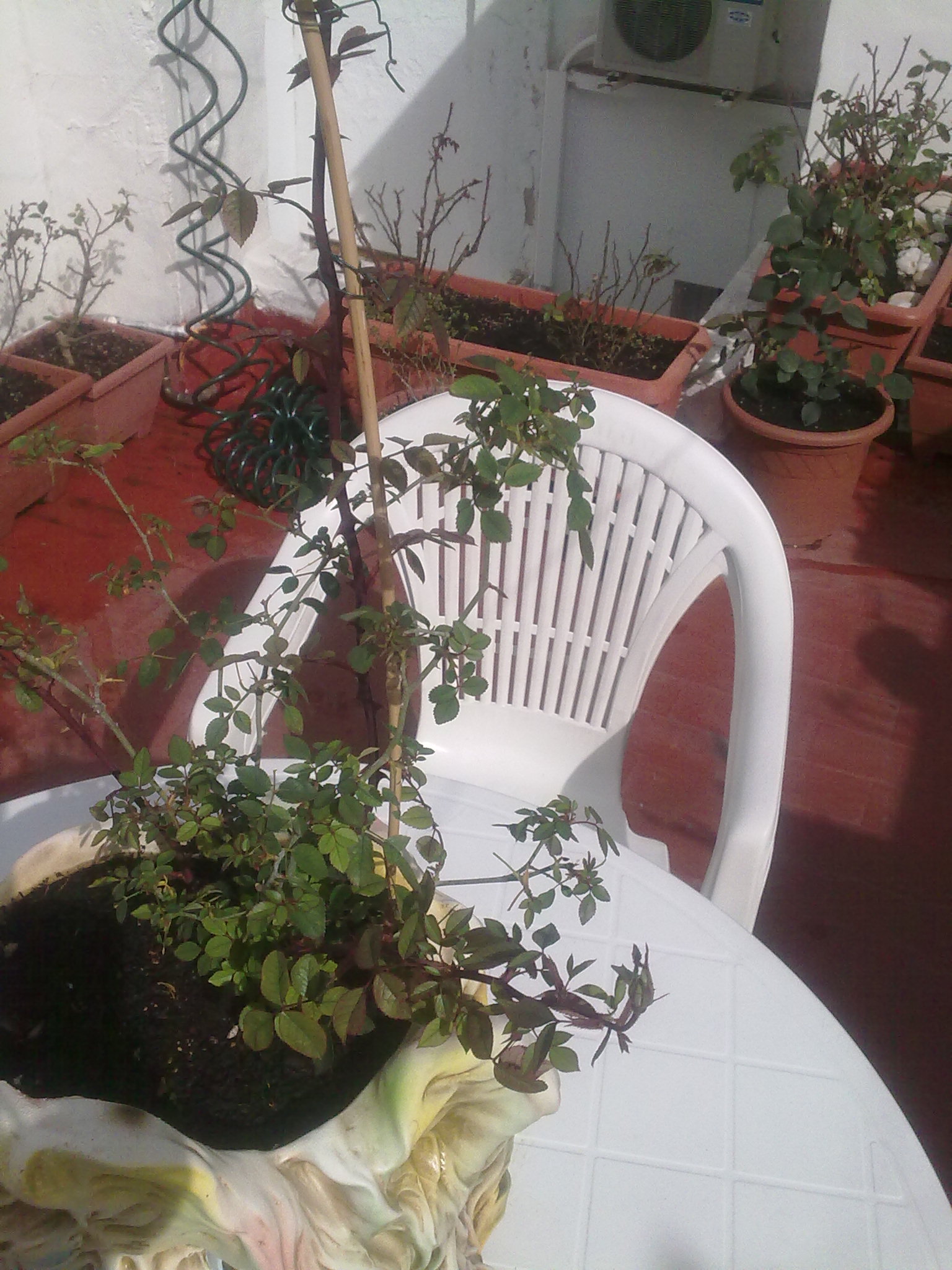 220220111200.jpg