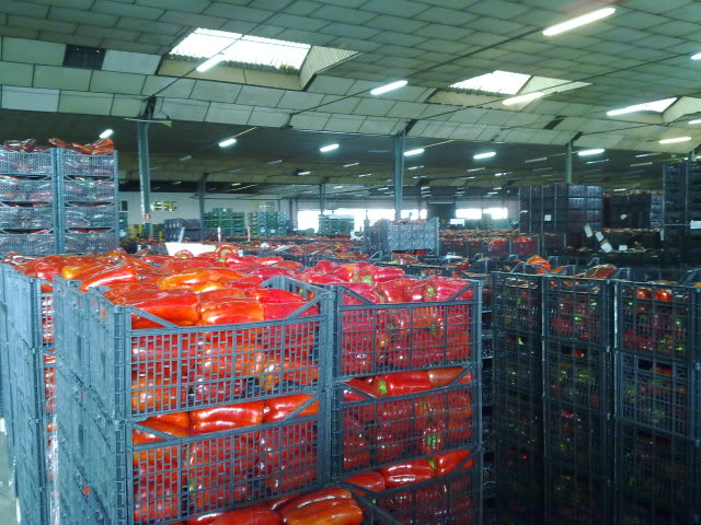 220220111230.jpg