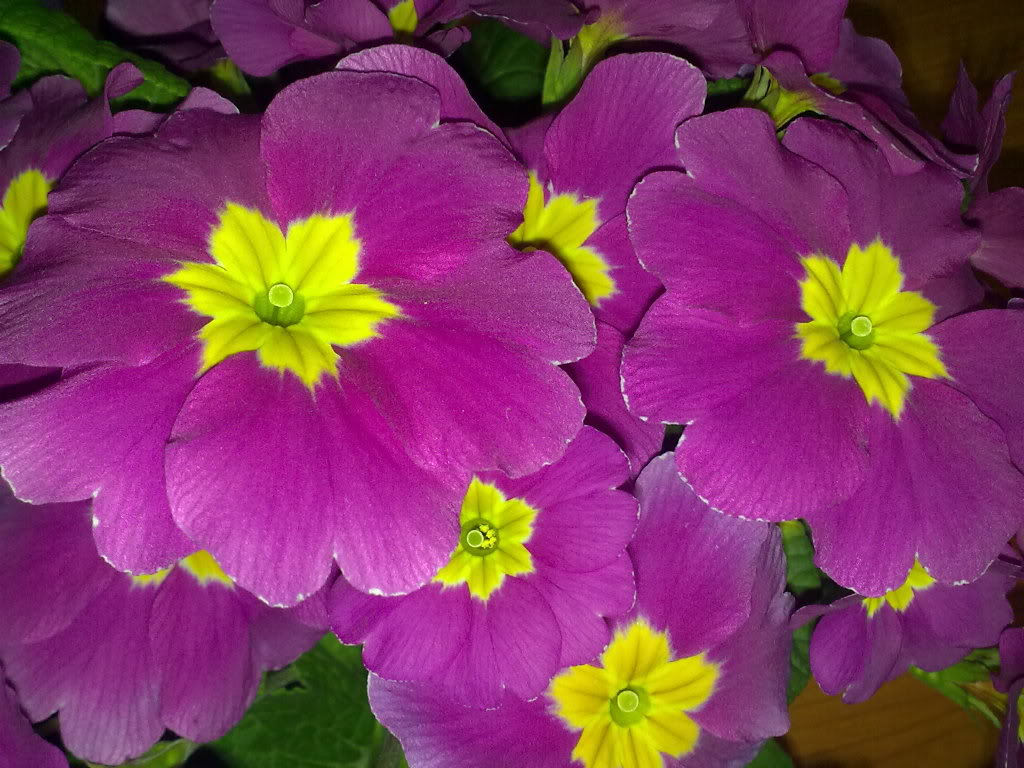 22022011193.jpg