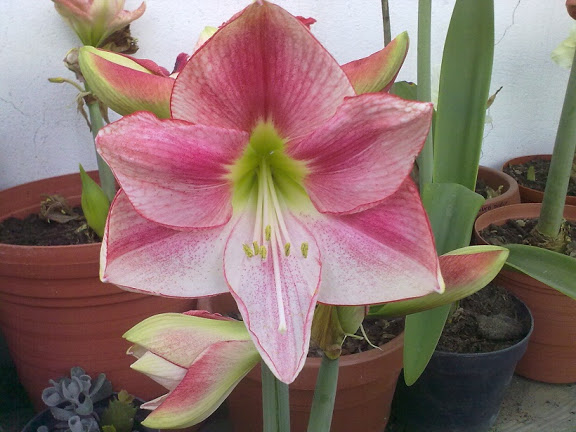 220320112504.jpg